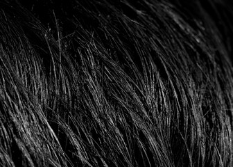 background black hair close-up