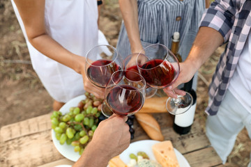Friends holding glasses of wine over picnic table at vineyard
