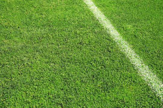 Fresh green football field grass as background