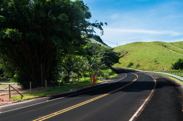 road in the forest