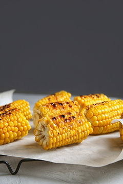 Cooling rack with grilled corn cobs on table against gray background. Space for text