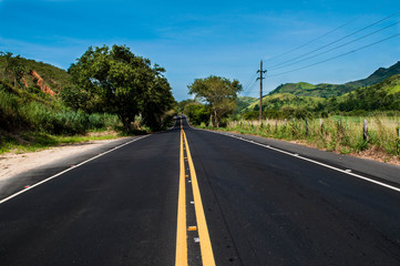 road in the forest