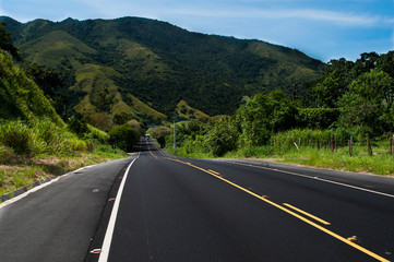 road in the forest