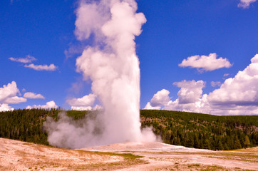 Yellowstone Geyser