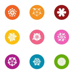 Flower pattern icons set. Flat set of 9 flower pattern vector icons for web isolated on white background