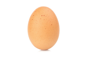 egg isolated on white background