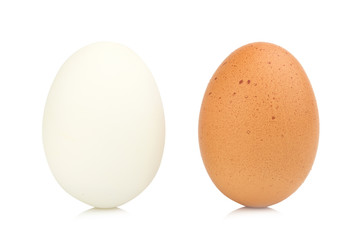 egg chiken and egg duck isolated on white background
