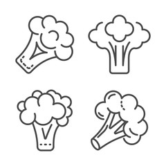 Broccoli cabbage icon set. Outline set of broccoli cabbage vector icons for web design isolated on white background
