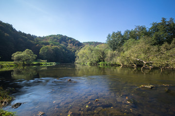 Fototapeta na wymiar Forest River