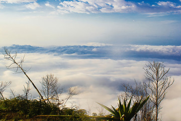 cielo