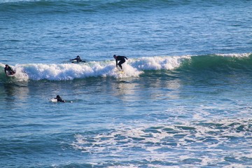 Surfers catching wave at Penguin Parade, Phillip Island, Australia