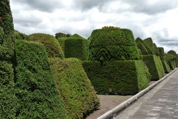 Photo of some carved trees