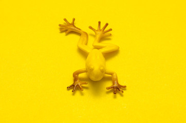 Plastic toy frog on yellow background. Toy yellow frog on yellow background