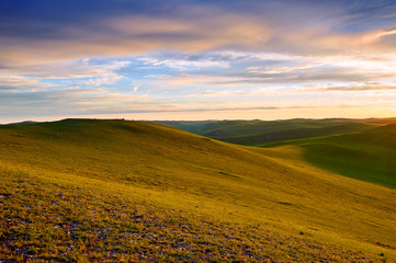 The rosy clouds of dawn on the summer grassland.