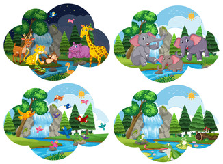 Fototapeta premium Set of animals in scenes