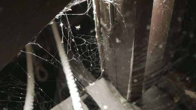 The spider on a cobweb during nighttime.