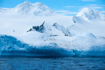 Beautiful view of the iceberg in Antarctica © Jared