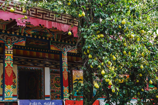Sichuan province ganzizhou Dan yuba jiaju Tibetan village