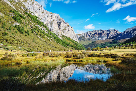 Sichuan province daocheng los flocking to zap