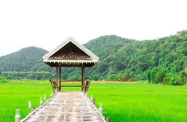 Fototapeta na wymiar Rural Green rice fields and bamboo bridge. Place name Sutongpe Bridge. the longest wooden bridge located in Mae Hong Son province The Northern of Thailand.