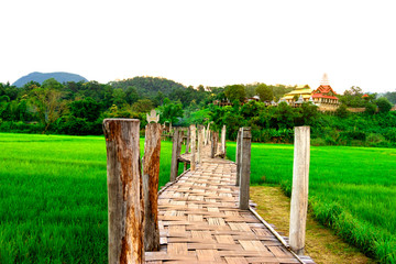 Fototapeta na wymiar Rural Green rice fields and bamboo bridge. Place name Sutongpe Bridge. the longest wooden bridge located in Mae Hong Son province The Northern of Thailand.