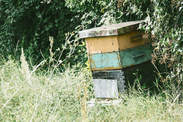 beehive for bees on a summer day in france