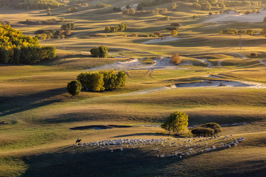 Bashang grassland of Inner Mongolia