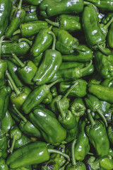 Fototapeta na wymiar Fresh green padron hot chili peppers