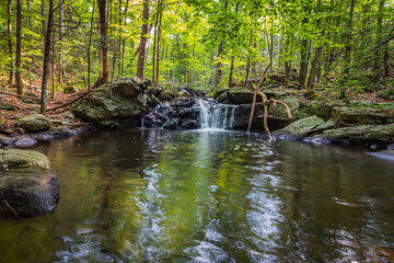Naklejka na ściany i meble Apshawa Falls in a suburban nature preserve in NJ is surrounded by lush green forest on a summer afternoon