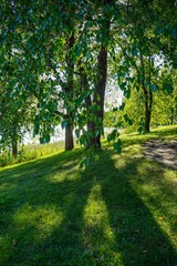 footpath in the park