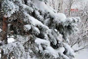 Winter Siberian city park, Omsk region