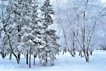 Winter Siberian city park, Omsk region