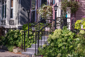 Front steps with railing and light fixture, foliage, summer day, no people.