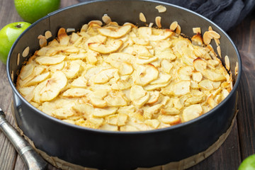 Homemade Apple Pie Dessert just from the oven, Ready to Eat