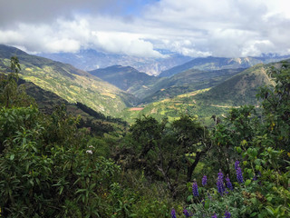 Walking through an open valley along the Salkantay Trail on the way to Macchu Picchu, Peru