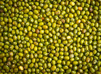 Green mung beans texture background