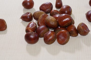鬼皮を剥く前の栗