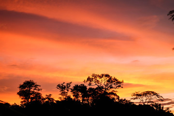 Fototapeta na wymiar Sunset clouds with trees