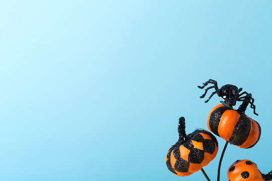 Halloween pumpkins with spider on a blue background
