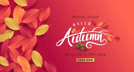 Poster Autumn sale background layout decorate with leaves of autumn for shopping sale or promo poster and frame leaflet or web banner.Vector illustration template. © bokmok