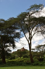 Kenyan landscapes