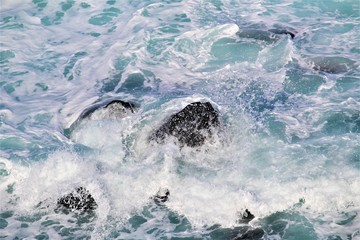Naklejka premium Spraying wave crashed over rocks at Penguin Parade, Phillip Island, Australia 