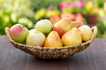 Pears and apples in the basket. Beautiful green garden background.