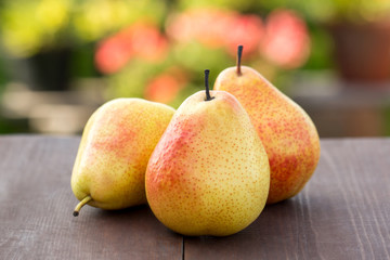 Pears close-up. Fruit in the background of the garden