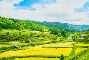 兵庫北・渓谷の集落の秋 © kikumoto kenjiro