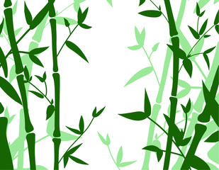 light and dark Green bamboo background with space for text. Vector illustration