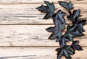 Leaves on wooden background