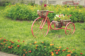 Fototapeta na wymiar Flowers in a basket on a vintage bicycle