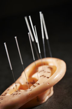 Ear acupuncture model 