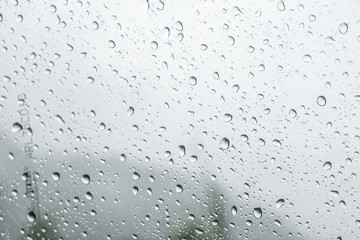 Rain drop on the glass